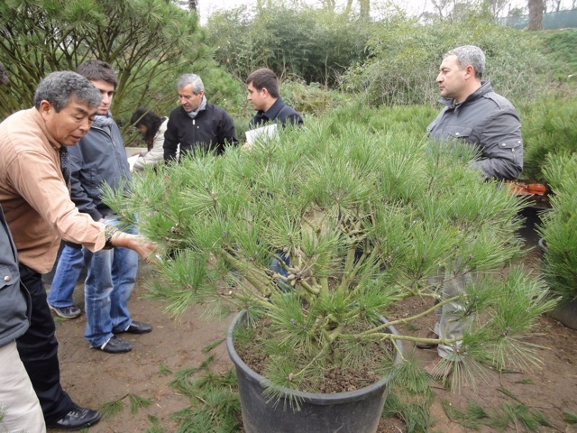 タラビタ宮殿での植木レクチャーの様子