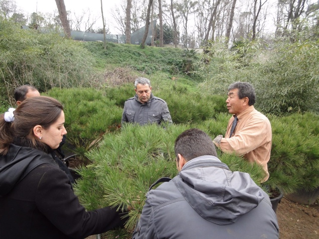 タラビタ宮殿での植木レクチャーの様子