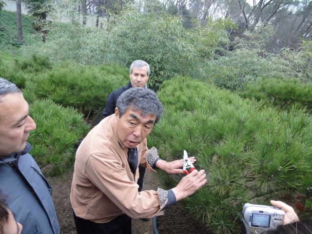 タラビタ宮殿での植木剪定レクチャーの様子