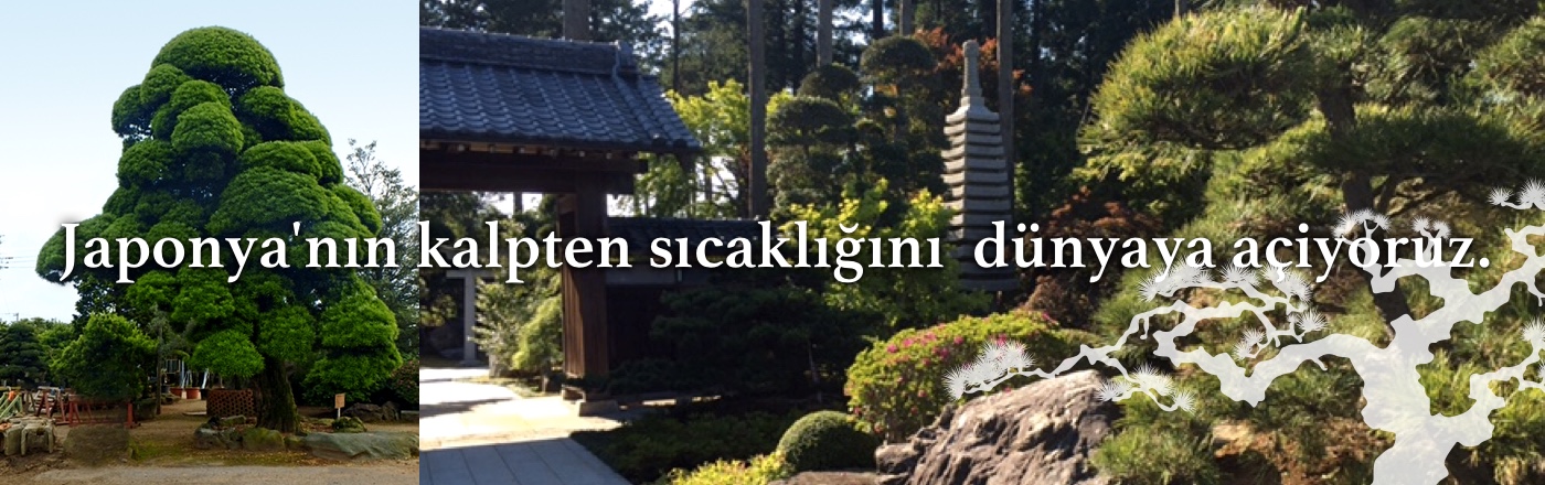 Japonya'nın kalpten sıcaklığını dünyaya açiyoruz.